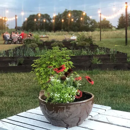 Goose And Garden *