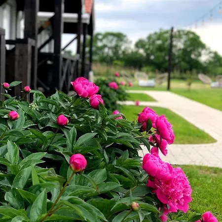 Goose And Garden Łeba