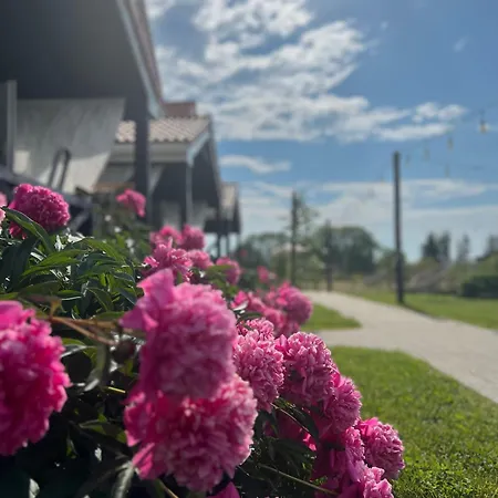Goose And Garden Casa vacanze Łeba