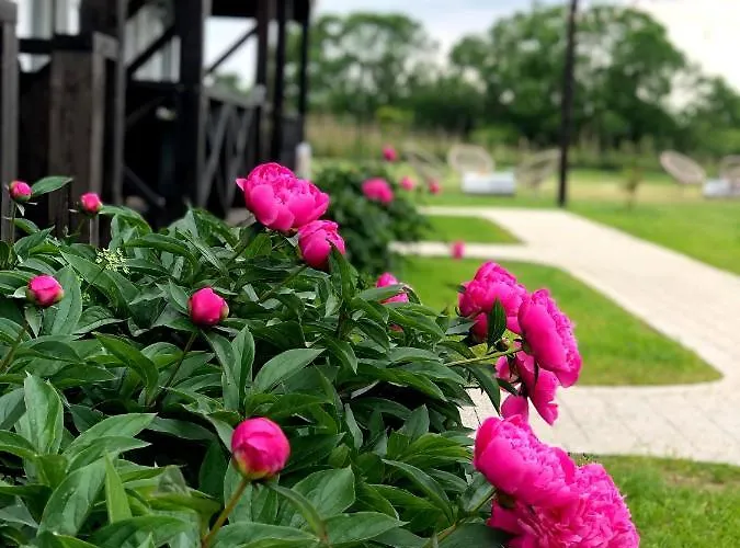 Goose And Garden Leba